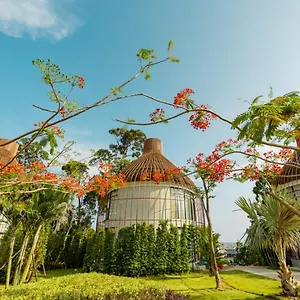 Bird Nest By Mafiya Sihanoukville